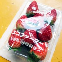 かつらぎ町の苺農家 和田農園様のまりひめが販売再開！