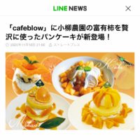 富有柿とみかんのパンケーキが様々なメディアで取り上げられました！