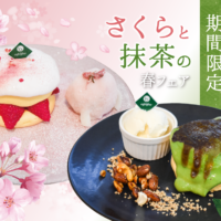 春にぴったりな桜と抹茶のパンケーキが期間限定で新登場！