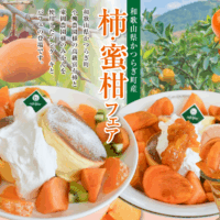 かつらぎ町の秋のフルーツを味わう「柿＆蜜柑フェア2025」がスタート！