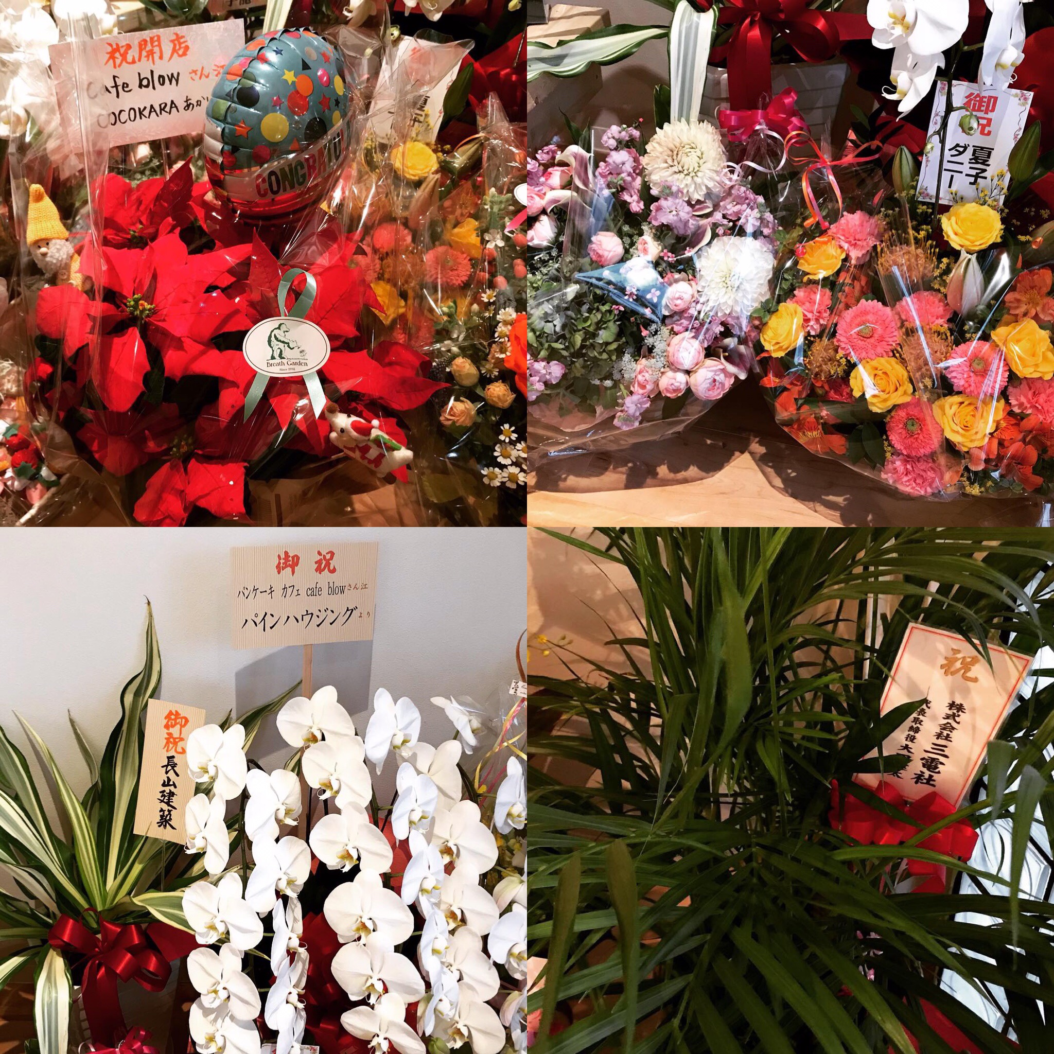 たくさんのお祝いのお言葉とお花をありがとうございました 泉佐野市と和泉市のパンケーキカフェ Cafeblow