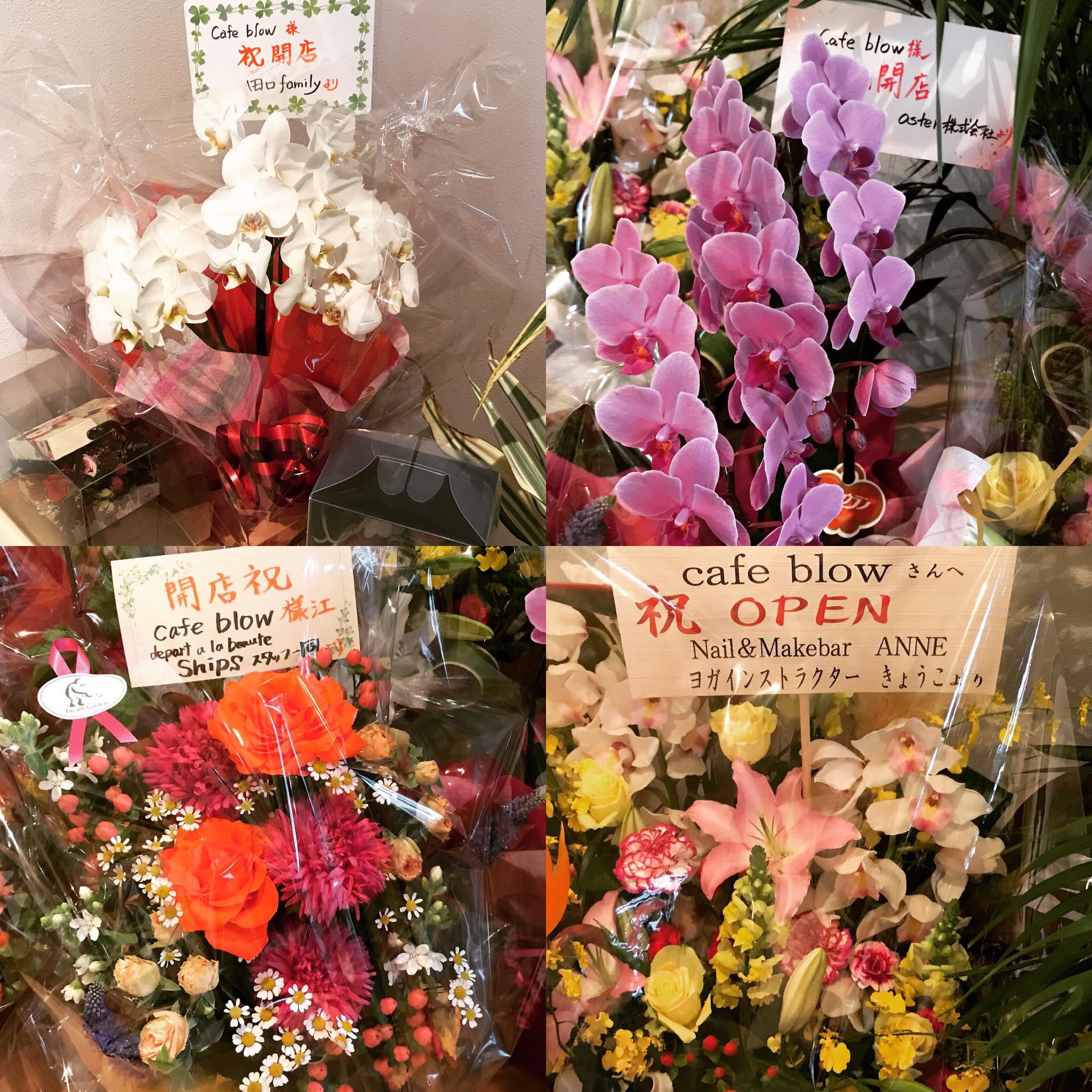 たくさんのお祝いのお言葉とお花をありがとうございました 泉佐野市と和泉市のパンケーキカフェ Cafeblow